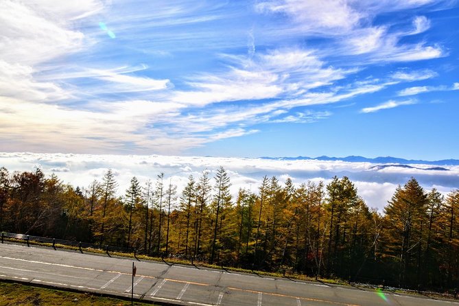 Mt Fuji Day Trip from Tokyo by Car with Photographer Guide - Weather, timing, and the Fuji gamble