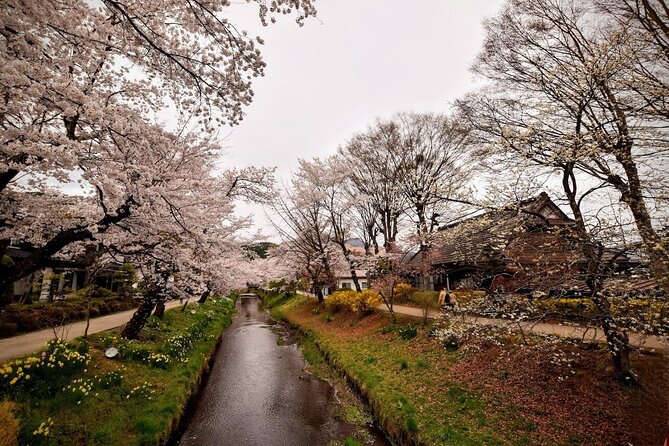 Mt Fuji Day Trip from Tokyo by Car with Photographer Guide - Price, included services, and the real value