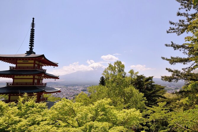 Mt Fuji Day Trip from Tokyo by Car with Photographer Guide - Arakurayama Sengen Park and its 400 steps