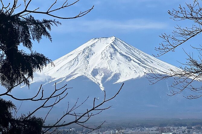 Mt. Fuji Day Trip from Tokyo with English Speaking Driver Guide - Oishi Park for lake and mountain photographs