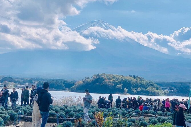 Mt. Fuji Day Trip from Tokyo with English Speaking Driver Guide - Oshino Hakkai and its old village setting