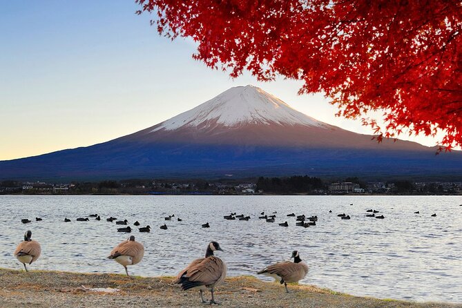 Mt Fuji Exclusive Tour with Private Car English Guide - Oshino Hakkai: clear springs and a traditional village