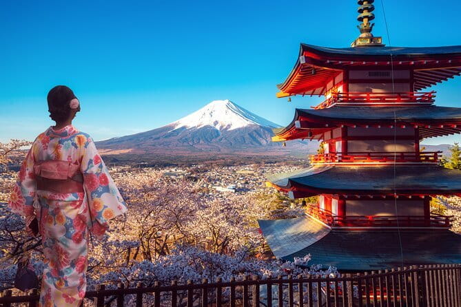 Mt Fuji Exploration Tour with Free Japanese Kusa Mochi from Tokyo - What the guide adds to the day