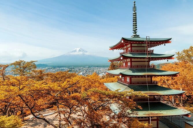 Mt Fuji Exploration Tour with Free Japanese Kusa Mochi from Tokyo - Oishi Park on the shore of Lake Kawaguchi