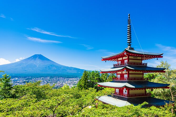 Mt. Fuji Five Lakes Private Tour with Licensed Guide (Tokyo DEP) - Key points to know before booking