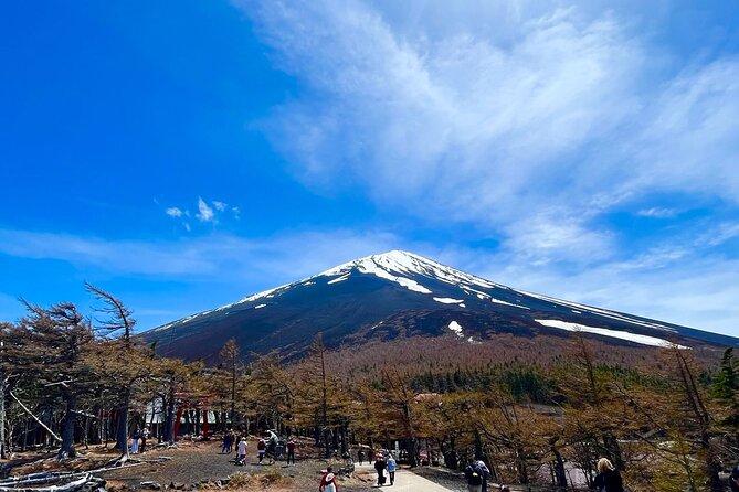 Mt. Fuji & Hakone Bus Tour Bullet Train Return & 28-Hotel Pick-up - The morning ride to Mt. Fuji’s 5th Station