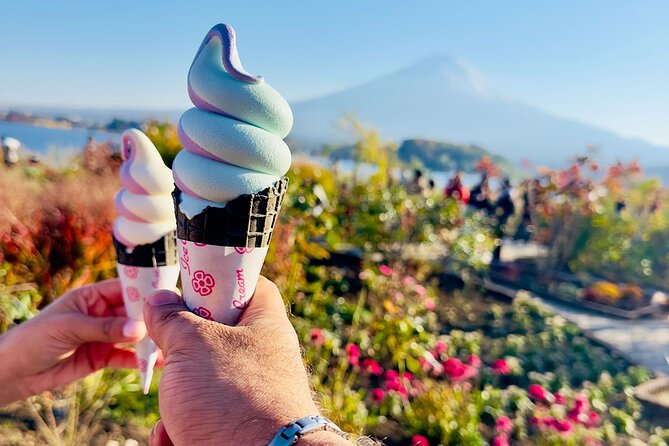 Mt. Fuji & Hakone Cherry Blossom private One Day Tour - Fuji Subaru Line 5th Station at 2,300 meters