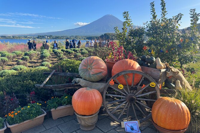 Mt. Fuji & Hakone Cherry Blossom private One Day Tour - Lake Ashi and the Hakone caldera