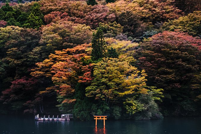 Mt Fuji & Hakone Cruise, Drum Show Bullet Train 1 Day from Tokyo - The 34-minute Kodama Shinkansen home