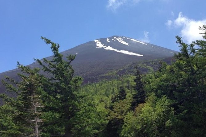 Mt Fuji & Hakone Cruise, Drum Show Bus 1 Day from Tokyo - Lunch, Japanese flavors, and a taiko performance