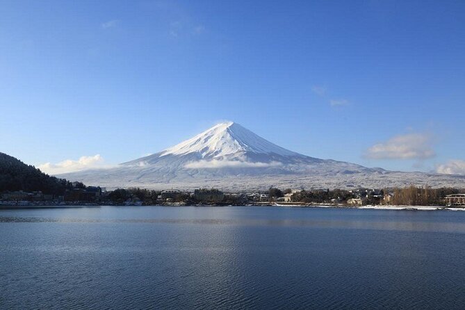 Mt Fuji & Hakone Cruise, Drum Show Bus 1 Day from Tokyo Sta. Area - Fuji 5th Station at 2,300 meters