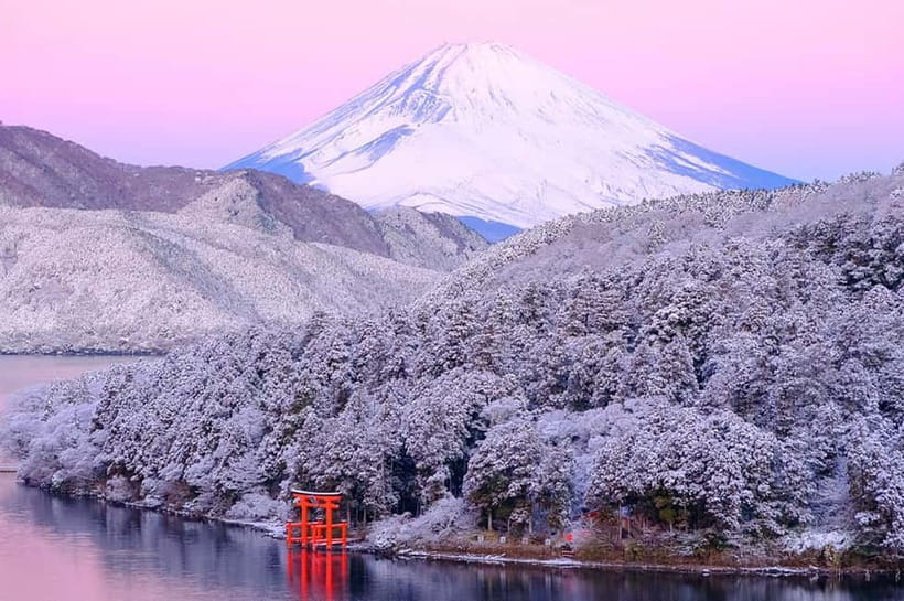 Mt.Fuji Hakone Day Tour With Lake Ashi Cruise, FREE Ropeway - Lake Yamanaka and the swan photographs