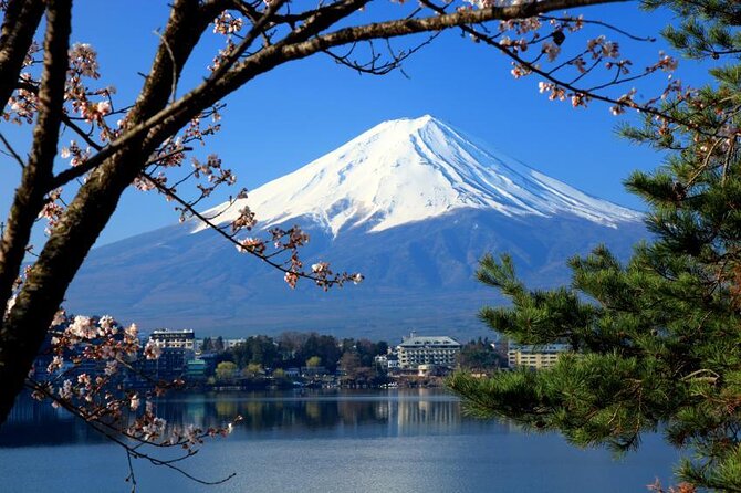 Mt. Fuji & Hakone: Fuji Sengen Shrine, Cruise, and Ramen-Making - Key points to know before you book