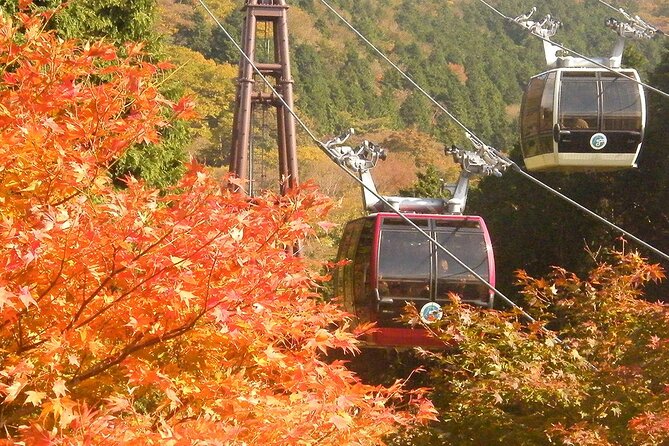 Mt. Fuji & Hakone: Fuji Sengen Shrine, Cruise, and Ramen-Making - What this Mt. Fuji and Hakone day actually delivers