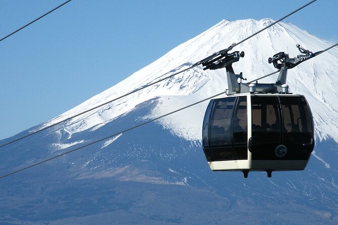 Mt. Fuji & Hakone: Fuji Sengen Shrine, Cruise, and Ramen-Making - Who will get the most from this tour?