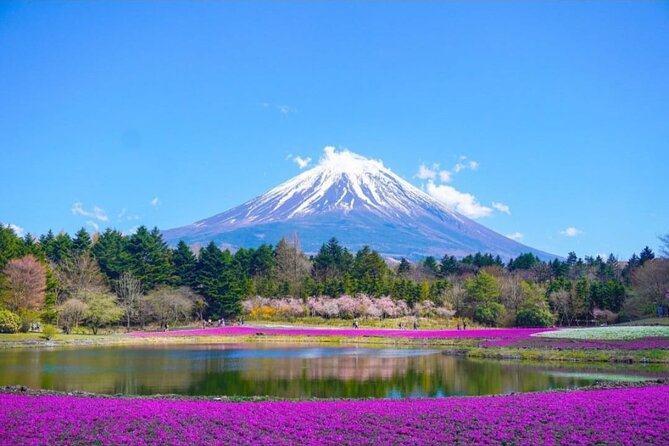Mt. Fuji, Hakone Full-Day Private Tour with English Driver - Why this private Fuji trip appeals to me