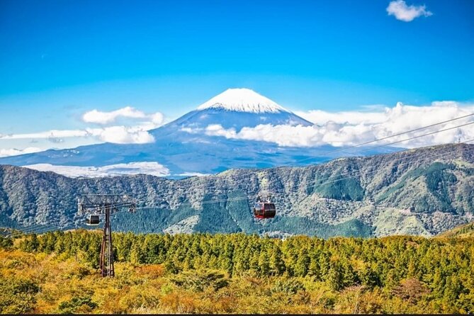 Mt. Fuji, Hakone Full-Day Private Tour with English Driver - Kitaguchi Hongu Fuji Sengen Shrine