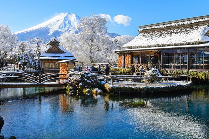 Mt. Fuji, Hakone Full-Day Private Tour with English Driver Guide - Key points at a glance