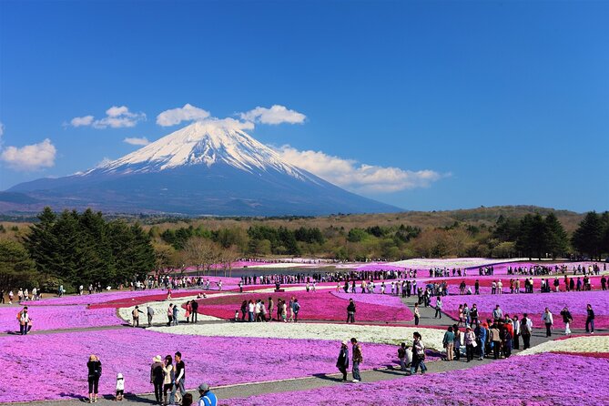 Mt. Fuji, Hakone Full-Day Private Tour with English Driver Guide - What this private Fuji and Hakone day is really like