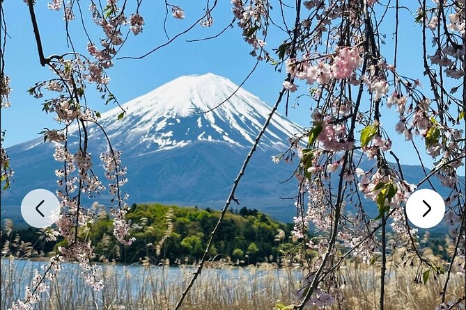 Mt. Fuji, Hakone Full-Day Private Tour with English Driver Guide - Owakudani and Lake Ashi in Hakone