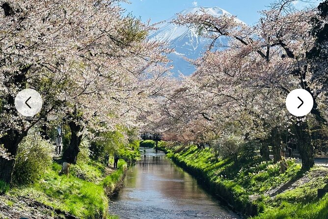 Mt. Fuji, Hakone Full-Day Private Tour with English Driver Guide - Lake Kawaguchiko and the ropeway choice