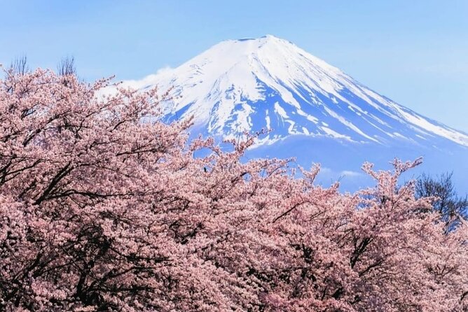 Mt. Fuji, Hakone Full-Day Private Tour with English Driver - The real challenge: fitting Fuji and Hakone into 10 hours