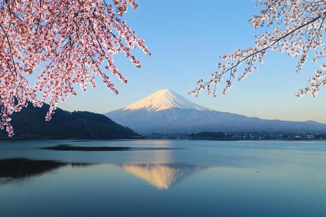 Mt. Fuji & Hakone Private Day Tour with English-Speaking Driver - Key points to know before booking