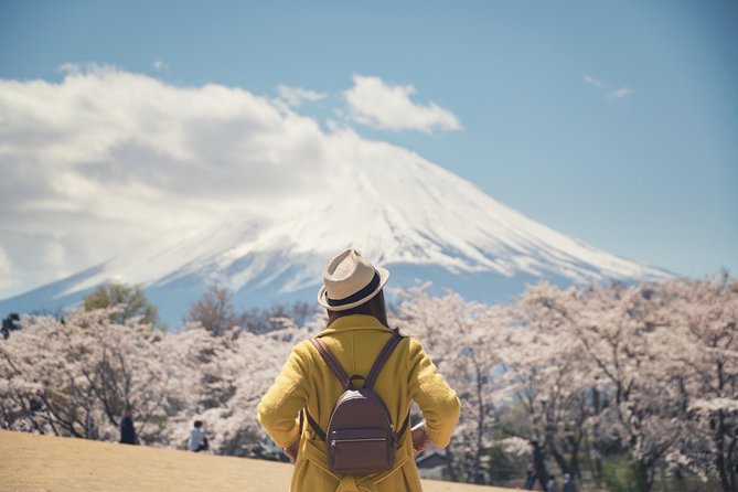 Mt. Fuji & Hakone Private Day Tour with English-Speaking Driver - The long ride to Fuji country
