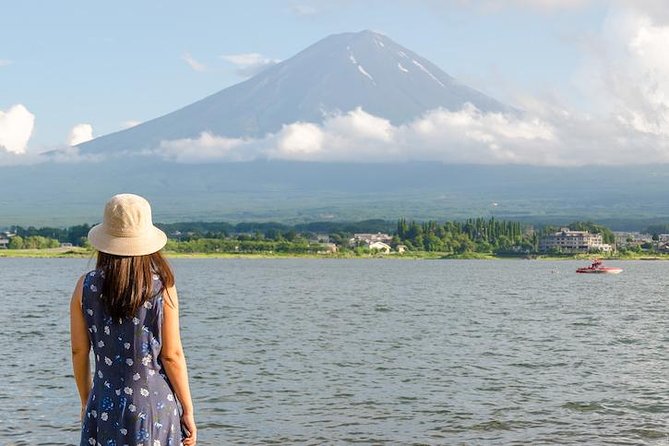 Mt. Fuji & Hakone Private Day Tour with English-Speaking Driver - Hakone Shrine and the lakeside torii