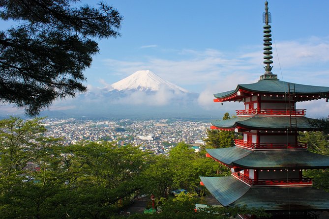 Mt. Fuji & Hakone Private Day Tour with English-Speaking Driver - Mt. Fuji 5th Station: high views, limited access