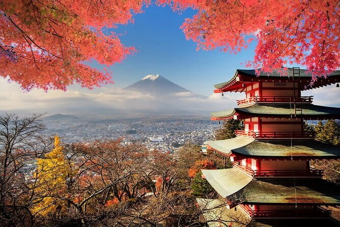 Mt Fuji, Hakone Private Tour by Car Pickup from Tokyo - Key points at a glance