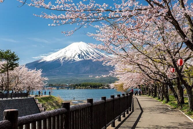Mt Fuji, Hakone Private Tour by Car Pickup from Tokyo - Arakura Fuji Sengen Shrine and the famous pagoda view
