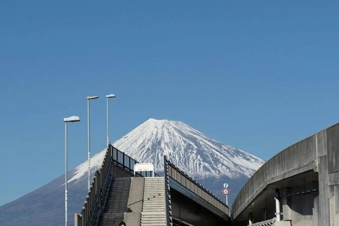 Mt Fuji, Hakone Private Tour by Car Pickup from Tokyo - Lake Ashi and the Hakone portion of the day