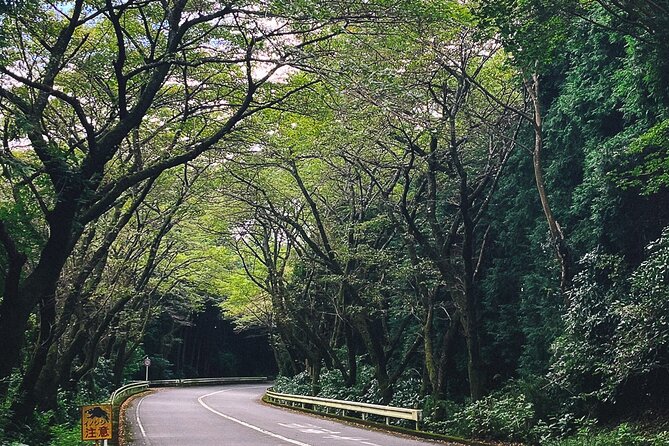 Mt. Fuji, Hakone Private Tour from Tokyo - Onsen, Arts and Nature - Hakone Shrine and Lake Ashi