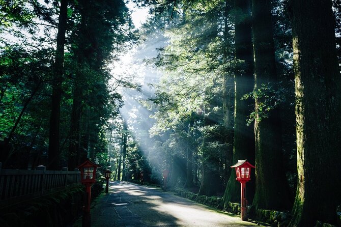 Mt. Fuji, Hakone Private Tour from Tokyo - Onsen, Arts and Nature - Lunch and an onsen in Hakone