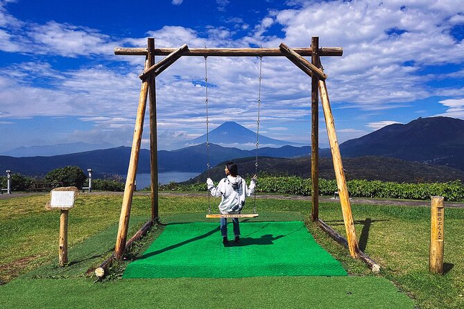 Mt. Fuji, Hakone Private Tour from Tokyo - Onsen, Arts and Nature - Choosing between the Open-Air Museum and Pola Museum