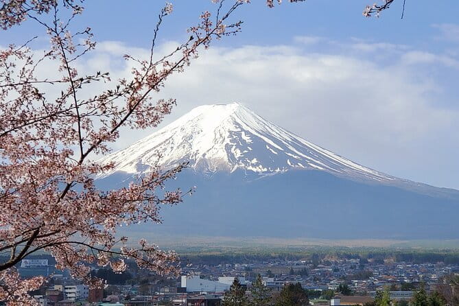 Mt Fuji & Hakone Private Tour from Tokyo: Return by Bullet Train - Chureito Pagoda and the classic Fuji photograph