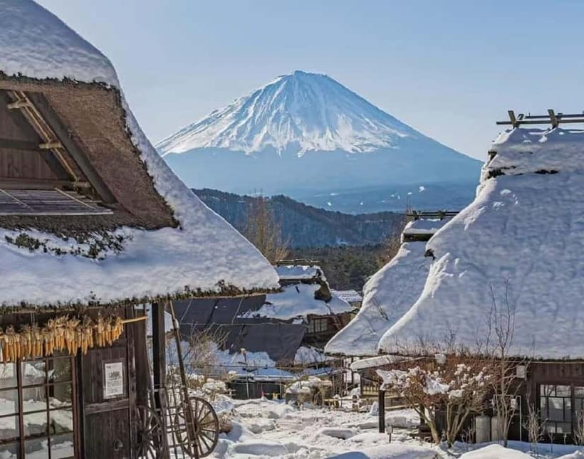 Mt. Fuji Heritage Tour: Traditional Villages, Lakes & Shrine - Why this Mt Fuji day trip works so well