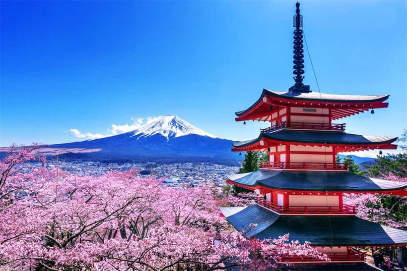 Mt. Fuji Heritage Tour: Traditional Villages, Lakes & Shrine - Lunch, snacks and what to carry
