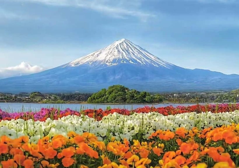 Mt. Fuji Heritage Tour: Traditional Villages, Lakes & Shrine - The real value of the $50 price