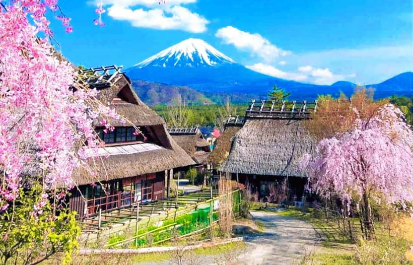 Mt. Fuji Heritage Tour: Traditional Villages, Lakes & Shrine - Lake Kawaguchi, Oishi Park and seasonal color
