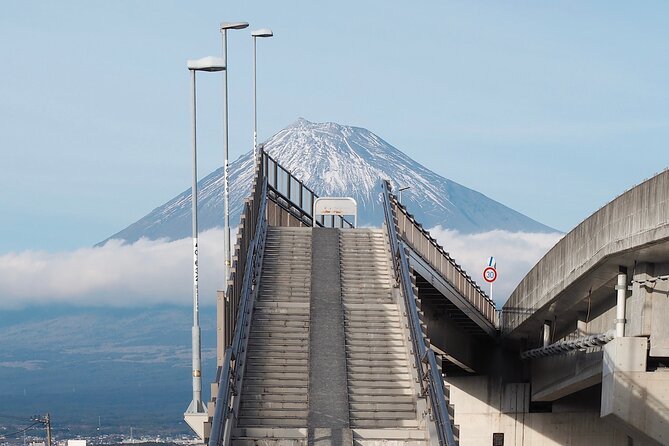 Mt. Fuji Highlight Photo Spots One Day Tour from Tokyo - Chureito Pagoda gives you the classic opening frame