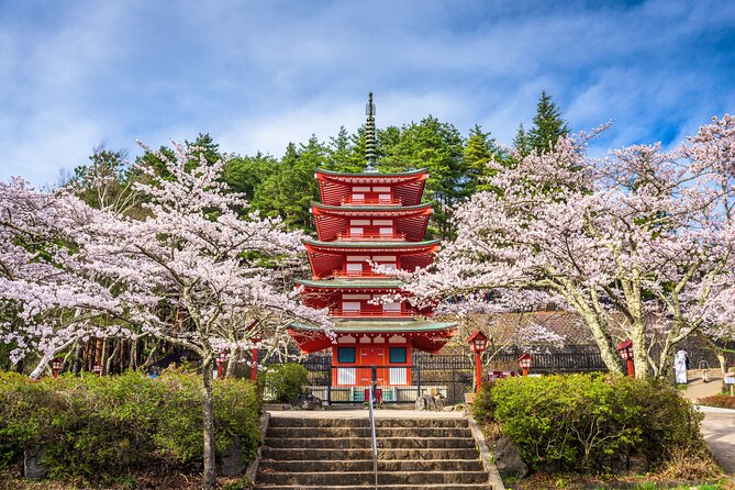 Mt. Fuji Highlight Photo Spots One Day Tour from Tokyo - Lake Kawaguchi slows the pace for a moment