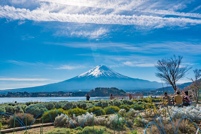 Mt. Fuji Highlight Photo Spots One Day Tour from Tokyo - Oishi Park pairs seasonal flowers with the lake