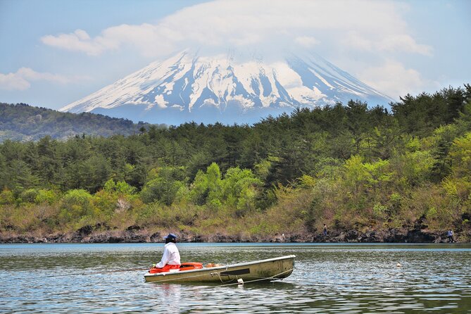 Mt. Fuji Highlight Photo Spots One Day Tour from Tokyo - Obuchi Sasaba finishes with rows of tea and Fuji