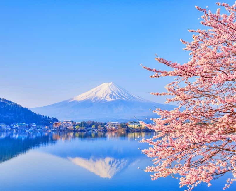 Mt. Fuji & Lake Kawaguchiko Ropeway Panorama Full-Day Tour - Why this Fuji day trip works from Tokyo