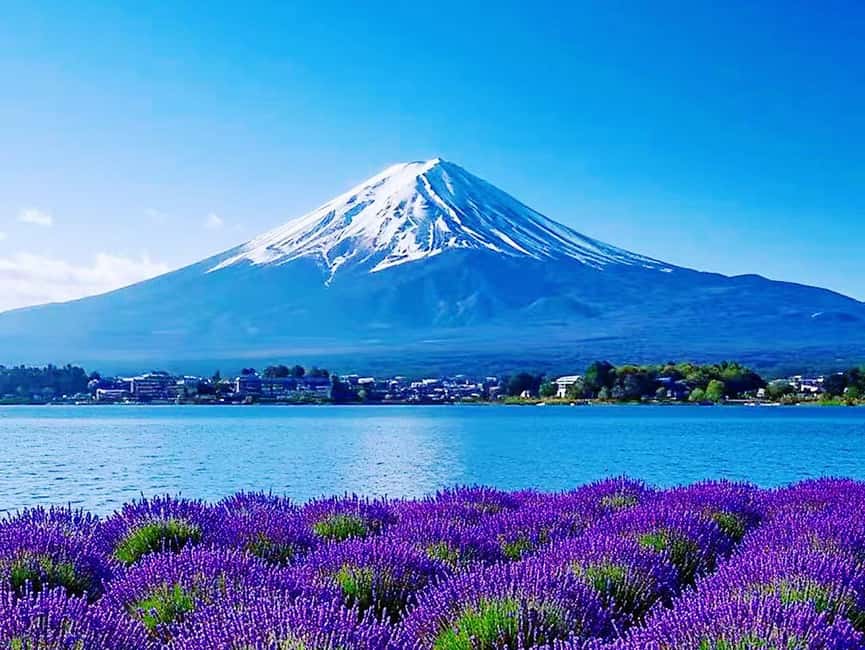 Mt. Fuji & Lake Kawaguchiko Ropeway Panorama Full-Day Tour - How the schedule feels in real life