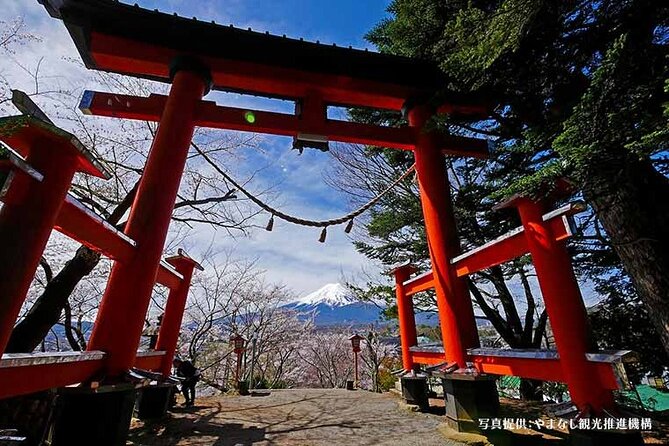 Mt. Fuji, Oishi Park & Arakurayama Pagoda Bus Tour with Lunch - The guide can make the bus time count