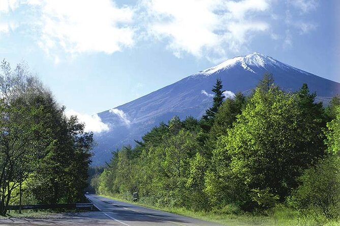 Mt. Fuji, Oishi Park & Arakurayama Pagoda Bus Tour with Lunch - Is $99.10 a fair price?