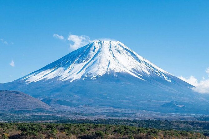 Mt. Fuji, Oishi Park & Arakurayama Pagoda Bus Tour with Lunch - Oishi Park and the Lake Kawaguchi view